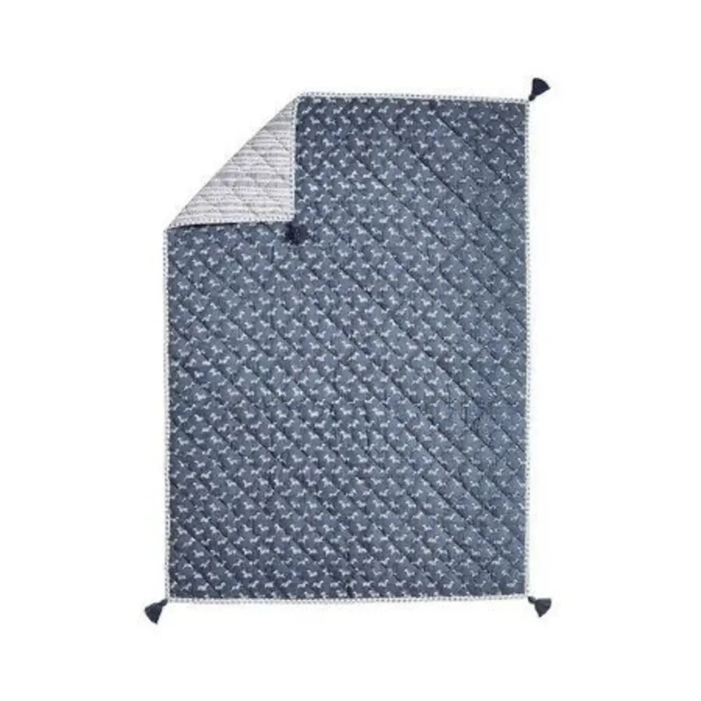 Pottery Barn Kids Quilt Nursey